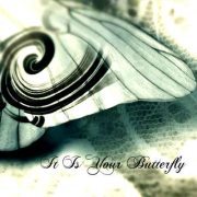 Itis Yourbutterfly