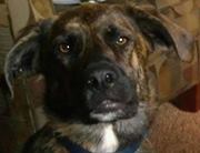 Carisa Ravotta mattu