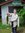 Cheryl Howland | 11 comments