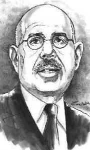 Hany Elbardecy