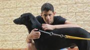 Abdelrhman Medhat