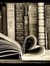 Divas BookBlog