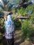 Rizki D...
