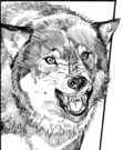 A.r.