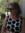 Anne Woodyard | 1 comments