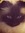 Thomas