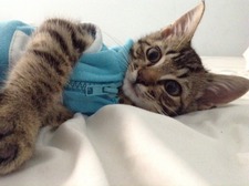 Lexi.mitchell.11me.com