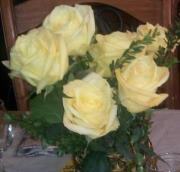 Julie Hurwitz einess