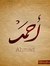 Ahmed S...