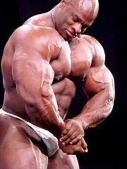 Hashim Abdallh