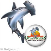 Odie Hammerhead