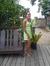 Sady Hart