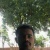 Rohit Roop rai