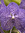 Renuka | 18 comments