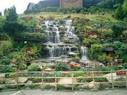 بجاد الطوبي