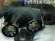 Fetitza Cool