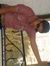 Shubham...