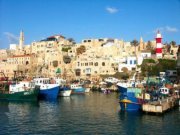 إنعام الشيخ علي