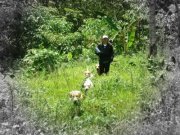 Christopher Clifford