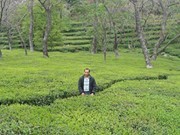 Ravi Yadav