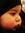 Nabihah...