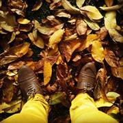 Daniela Escobar arco