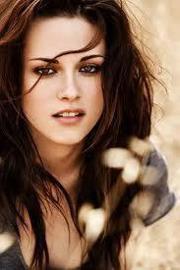 زهرة التوليب