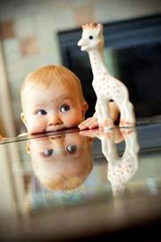 فيلسوف الغبرة