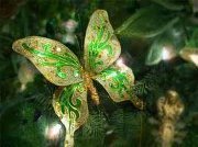 Елена Новожилова