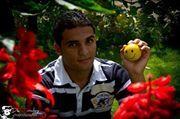 Ahmed Nagdy