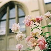 مريم بورحمة