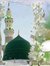 Qamar A...