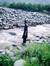 Awais T...