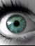 Tanne