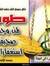 عمرو شعبان