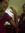 Priya W...