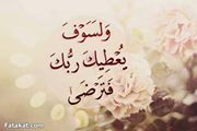 د. عمرو عبد الوهاب
