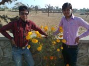 Bulesh Sharma