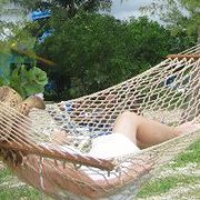 Katie Vanmeter pullen