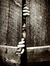 Dark_sh...