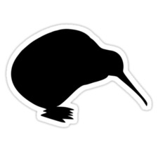 Krazykiwi