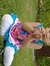 Riyaz T...