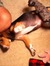 Hallie ...