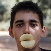 מישל ריישביץ