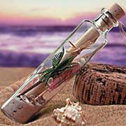 مؤمن الشيباني