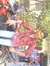 Sai Cool