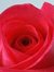 Razan A...