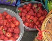 Alisa Brown mitchell