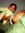 Ankit B...