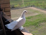 Заира Юкина